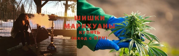 стафф Зерноград