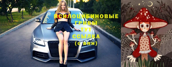 стафф Зерноград