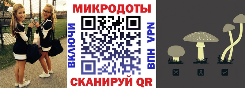 Купить где  Бугуруслан  Псилоцибиновые грибы Magic Shrooms 